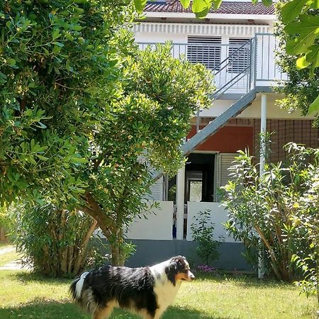 Apartamento .....Und Der Hund Darf Mit Privlaka  Exterior foto
